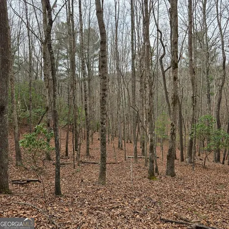 $375,000 | 8.5 Blue Berry Ridge, Morganton, GA 30560