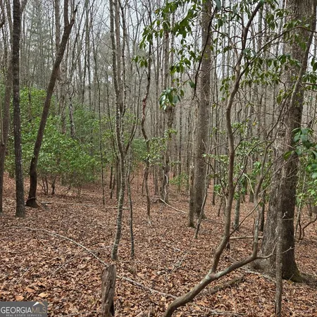$375,000 | 8.5 Blue Berry Ridge, Morganton, GA 30560