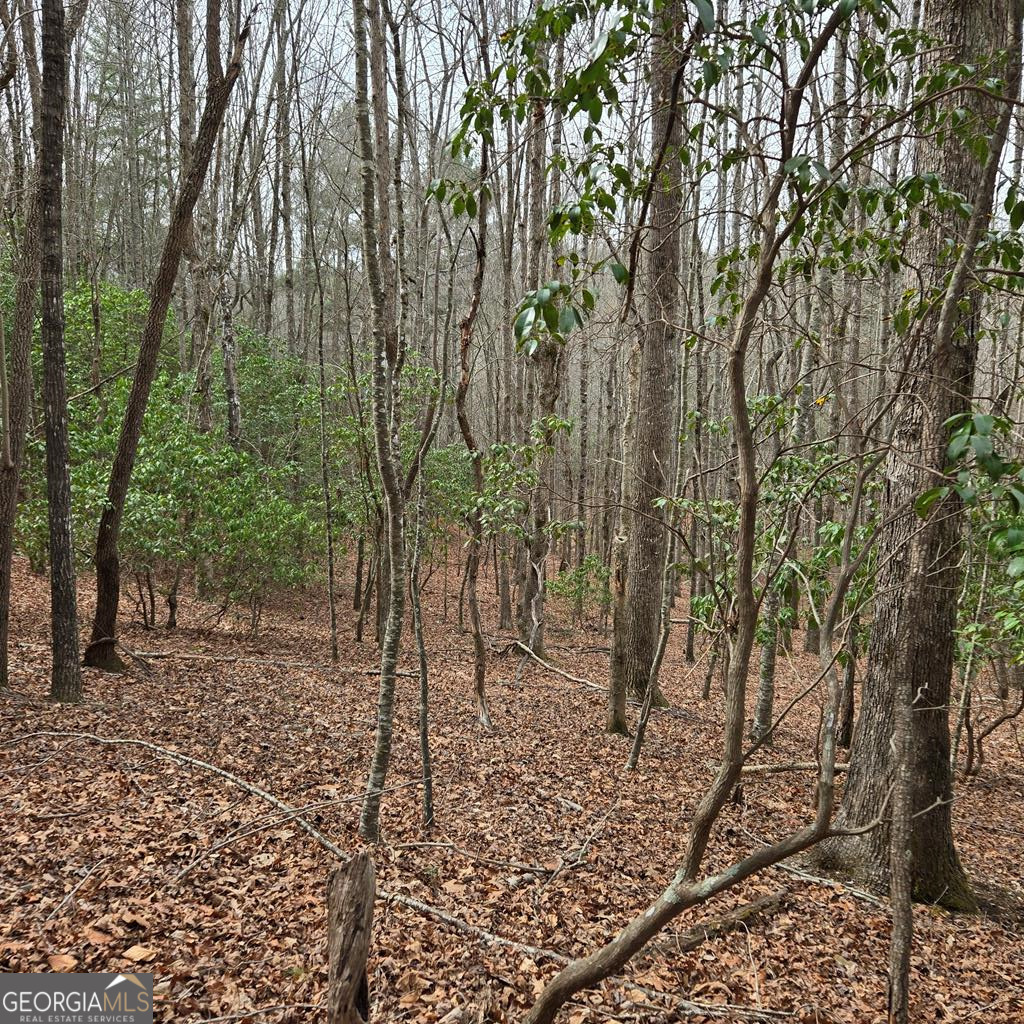 8.5 Blue Berry Ridge Morganton, GA 30560 - Photo 9 of 29