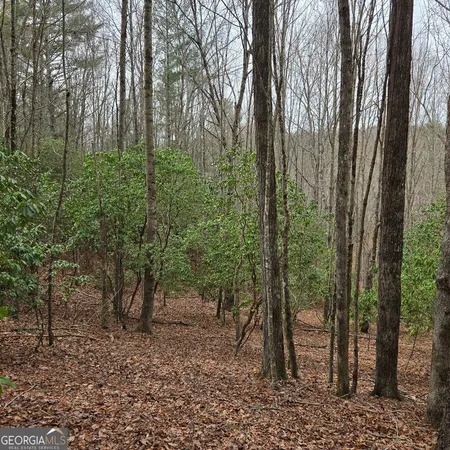 $375,000 | 8.5 Blue Berry Ridge, Morganton, GA 30560