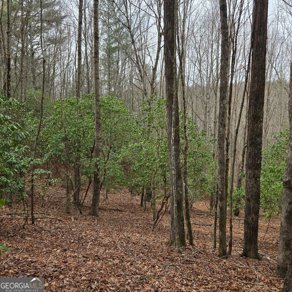 8.5 Blue Berry Ridge Morganton, GA 30560 - Photo 10 of 29