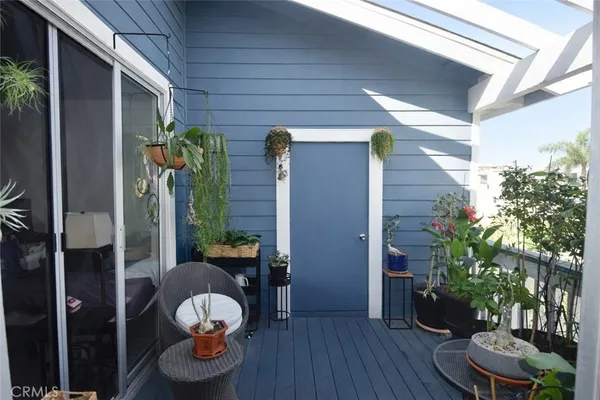 a potted plant sitting in front of a house with potted plants