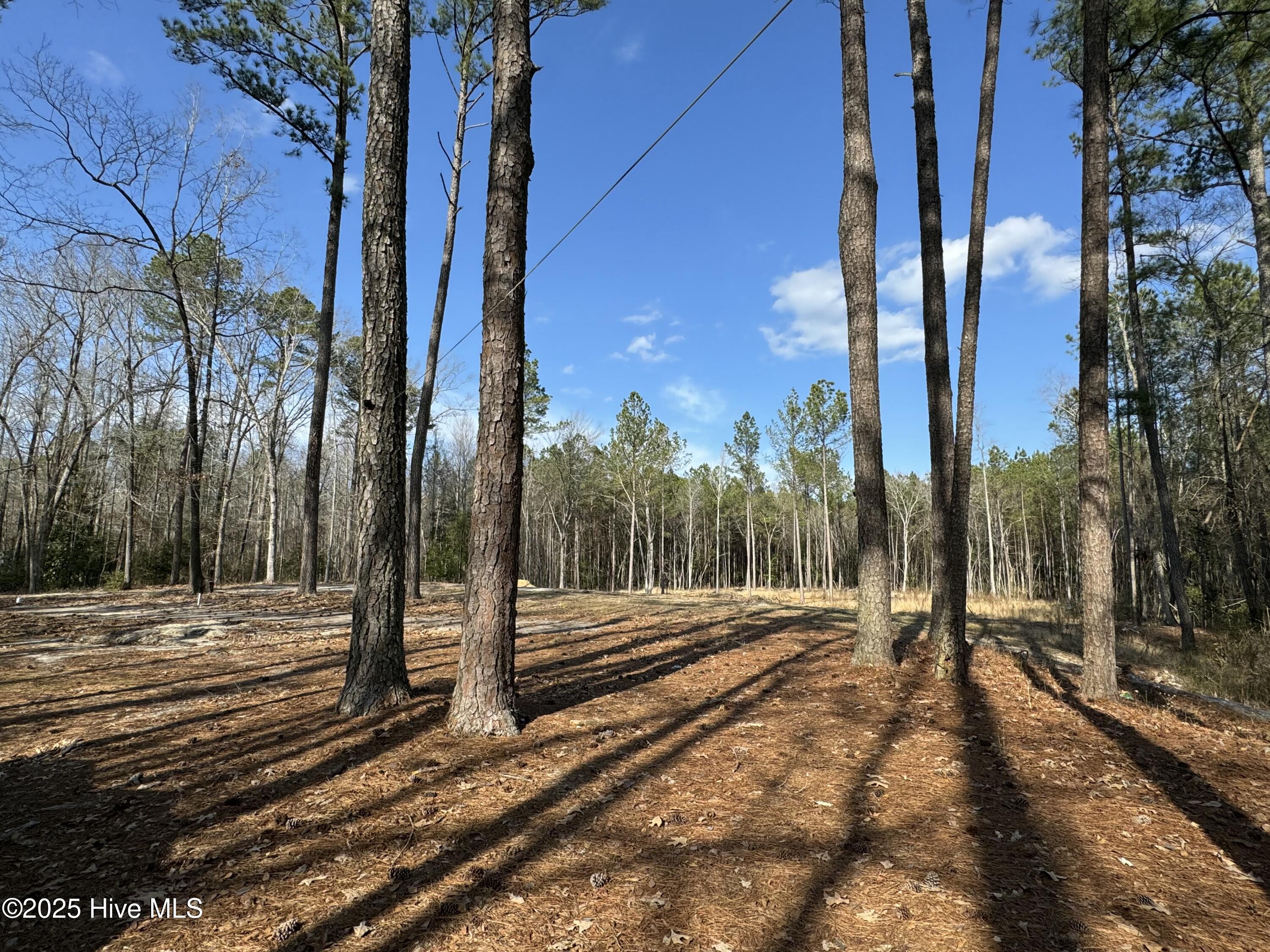 979 Aiken Road Vass, NC 28394 - Photo 12 of 17 tempImage97gRn4