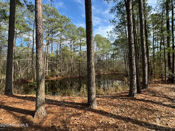 $385,000 | 979 Aiken Road, Vass, NC 28394