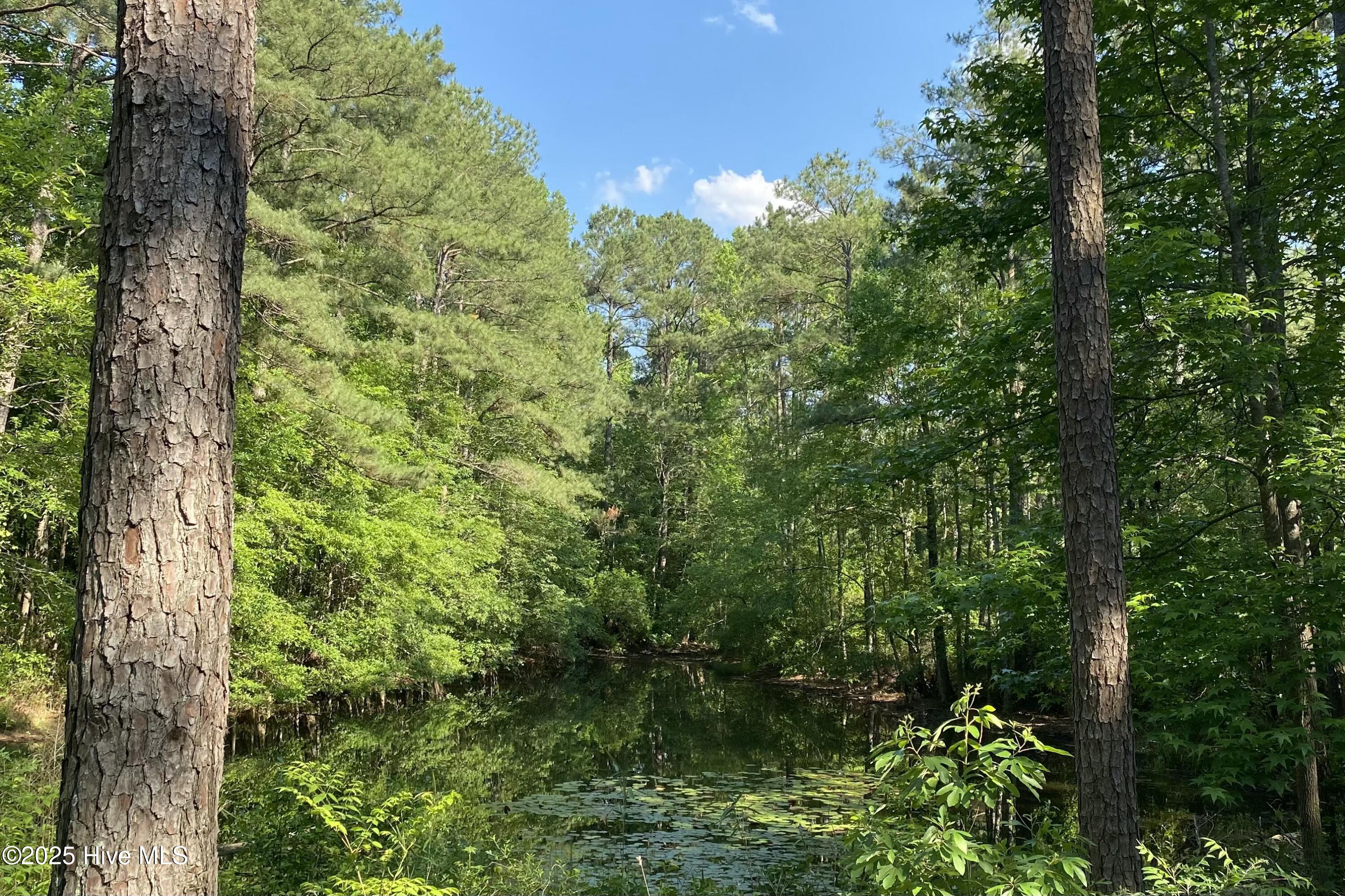 979 Aiken Road Vass, NC 28394 - Photo 2 of 17 tempImage61qUo6