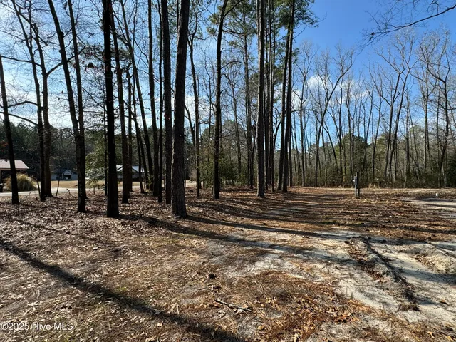 $399,000 | 979 Aiken Road, Vass, NC 28394
