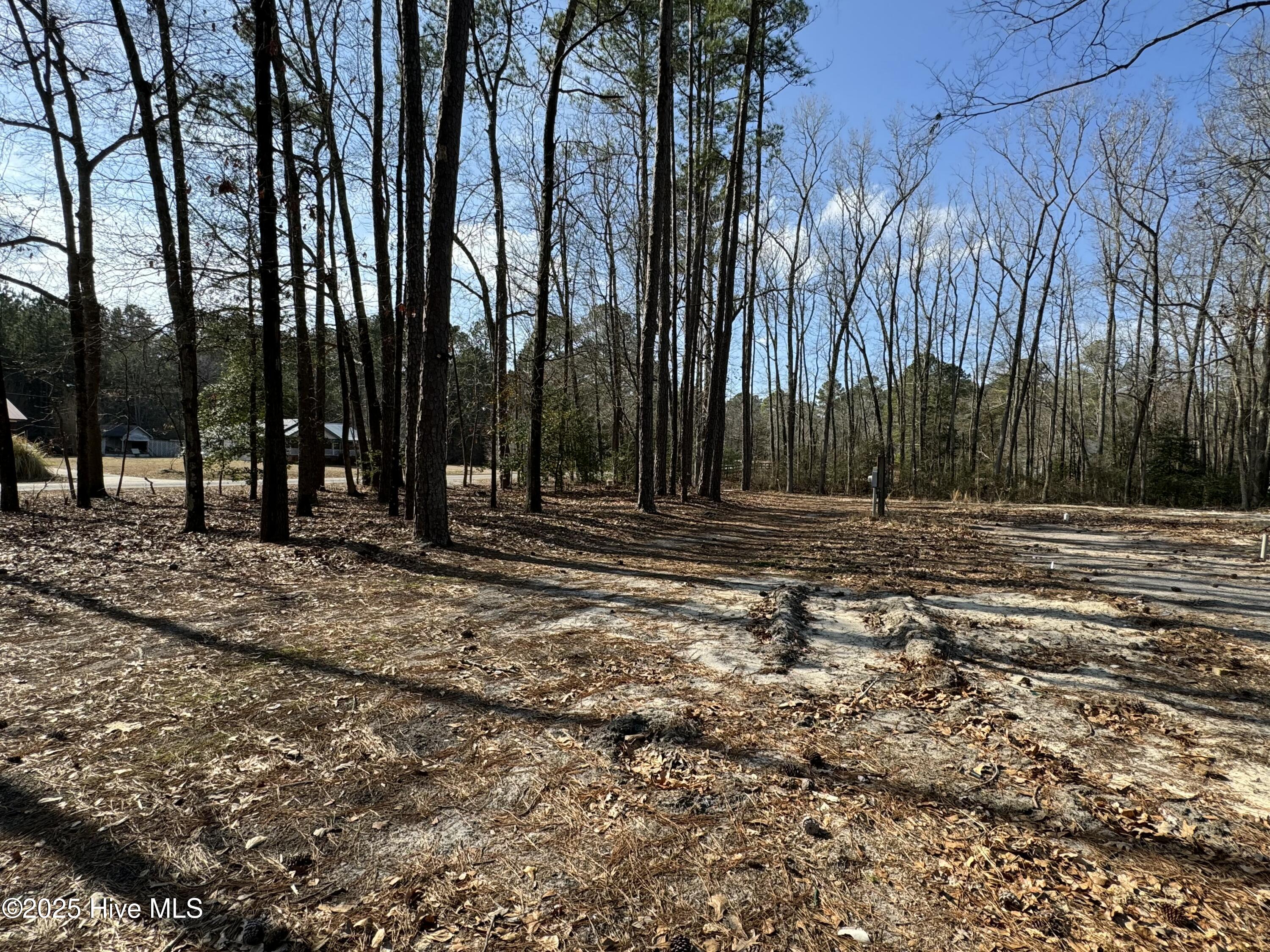 979 Aiken Road Vass, NC 28394 - Photo 4 of 17 tempImage5H2pnF