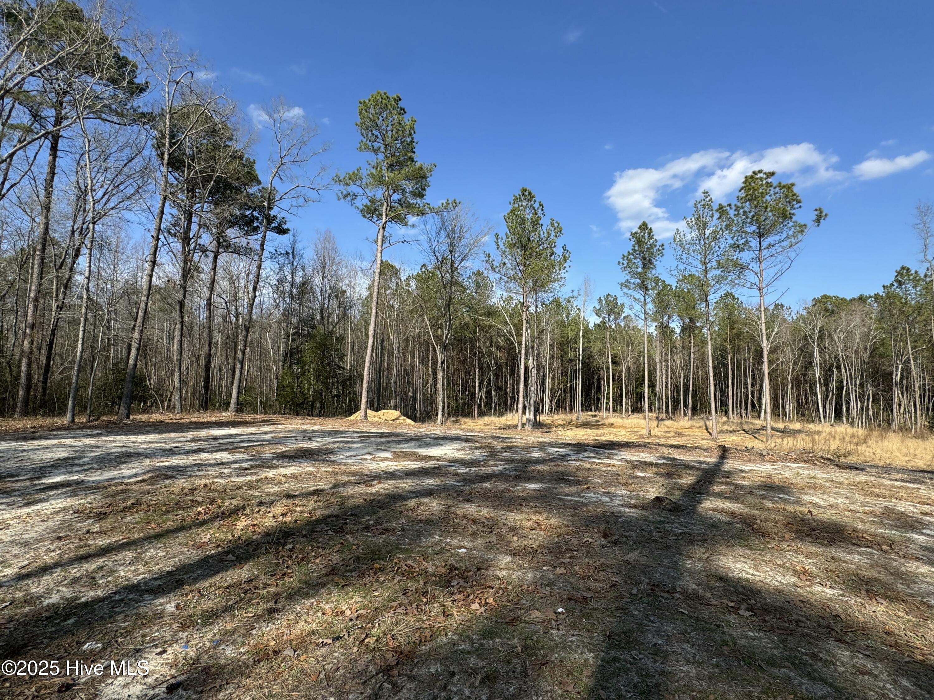 979 Aiken Road Vass, NC 28394 - Photo 8 of 17 tempImageyuECDM