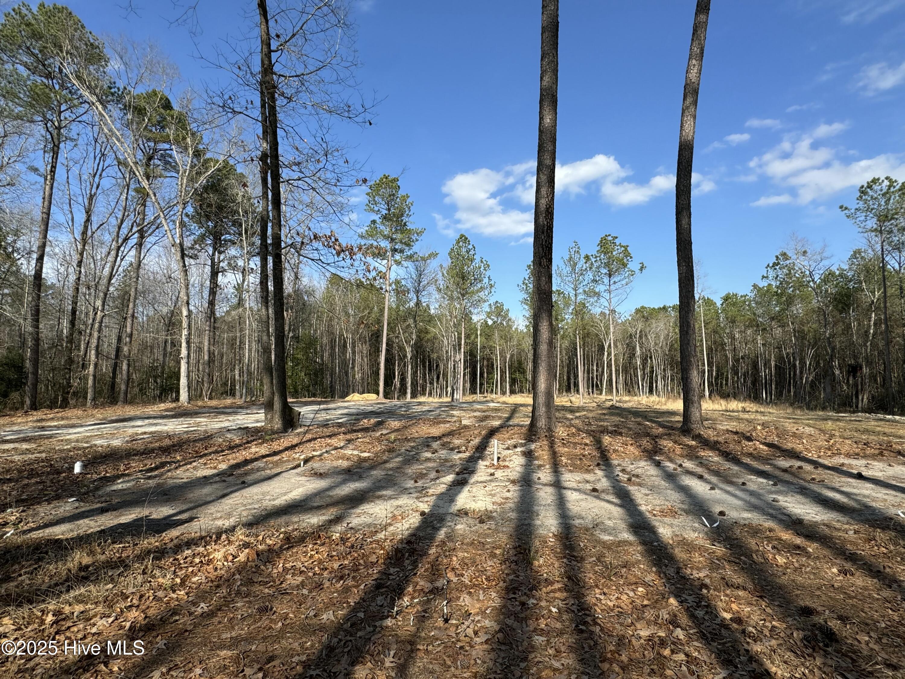 979 Aiken Road Vass, NC 28394 - Photo 10 of 17 tempImageOrVOW0