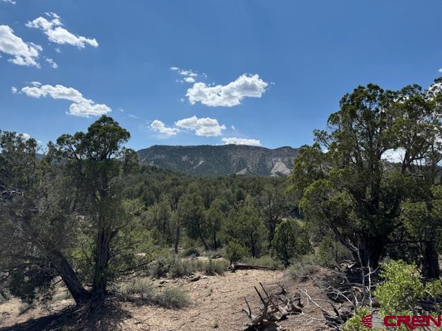 2519 Green Shadows Road Durango, CO 81303 - Photo 2 of 15 Gallery Image 2
