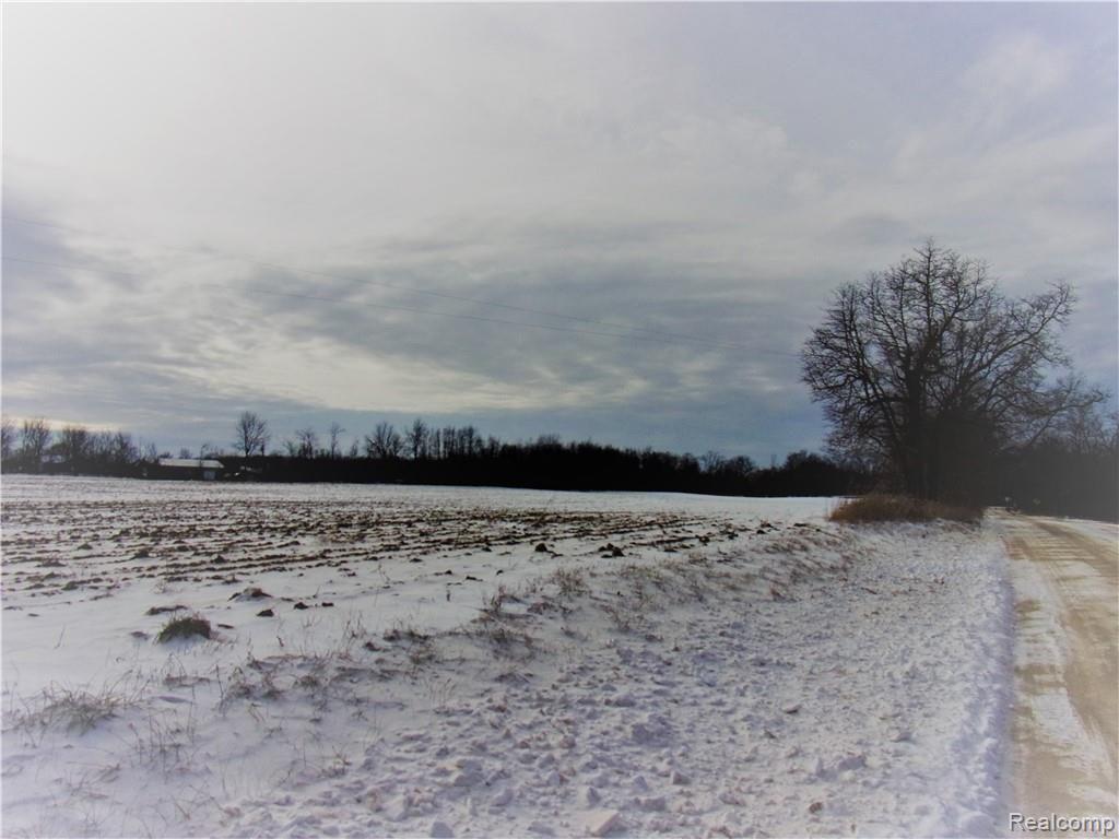 0 East Braden Road Perry, MI 48872 - Photo 6 of 8