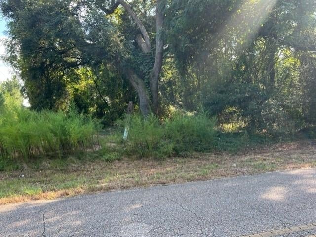 0 Rockhole Bridge Road Florala, AL 36442 - Photo 2 of 7 Gallery Image 2