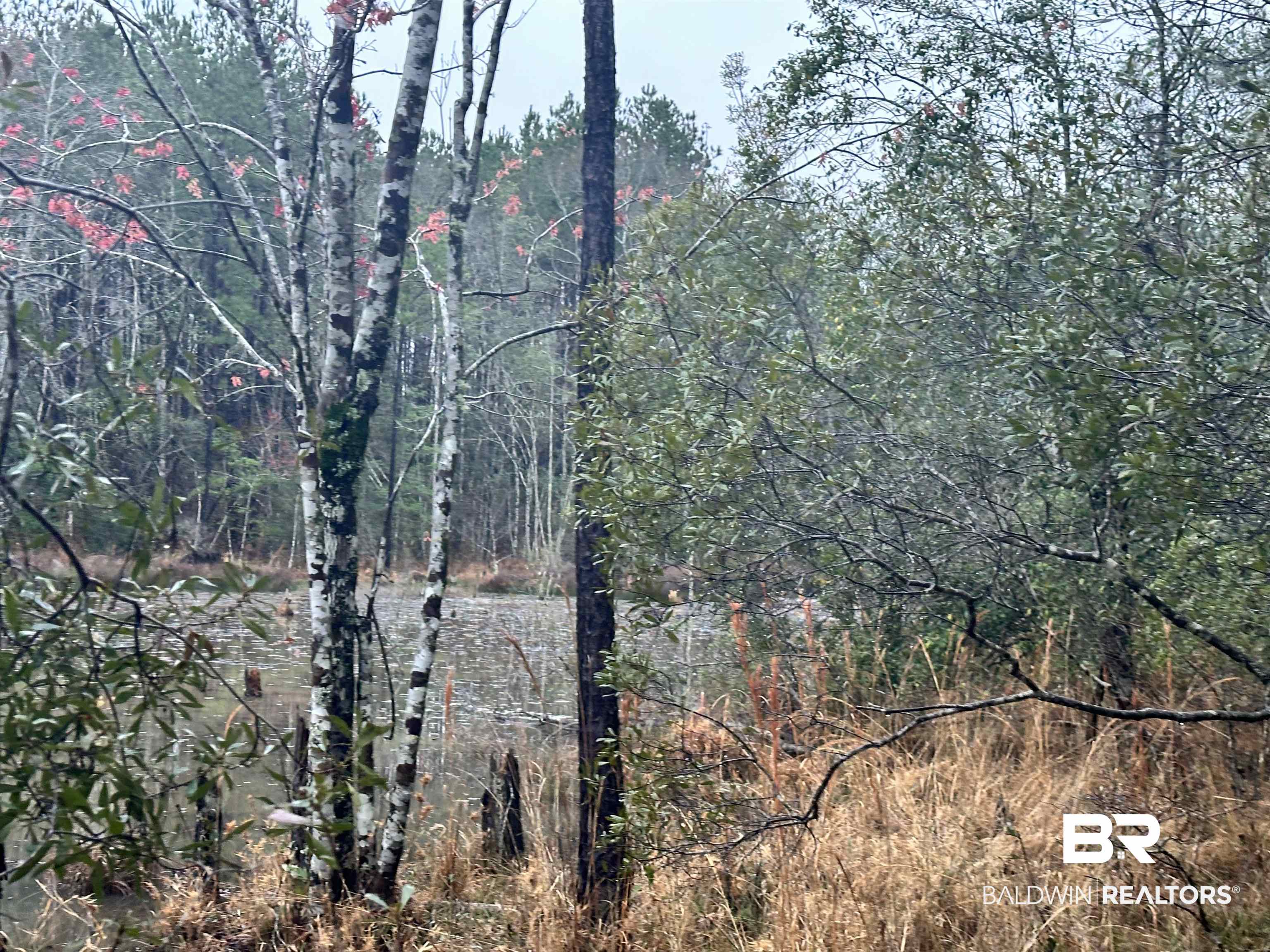 4549 J D Howard Road Tibbie, AL 36583 - Photo 7 of 33