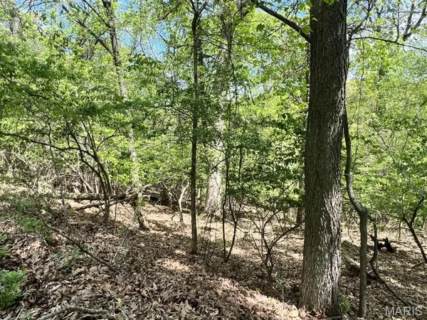 $45,000 | 1032 Chesterfield Forest Drive, Wildwood, MO 63005