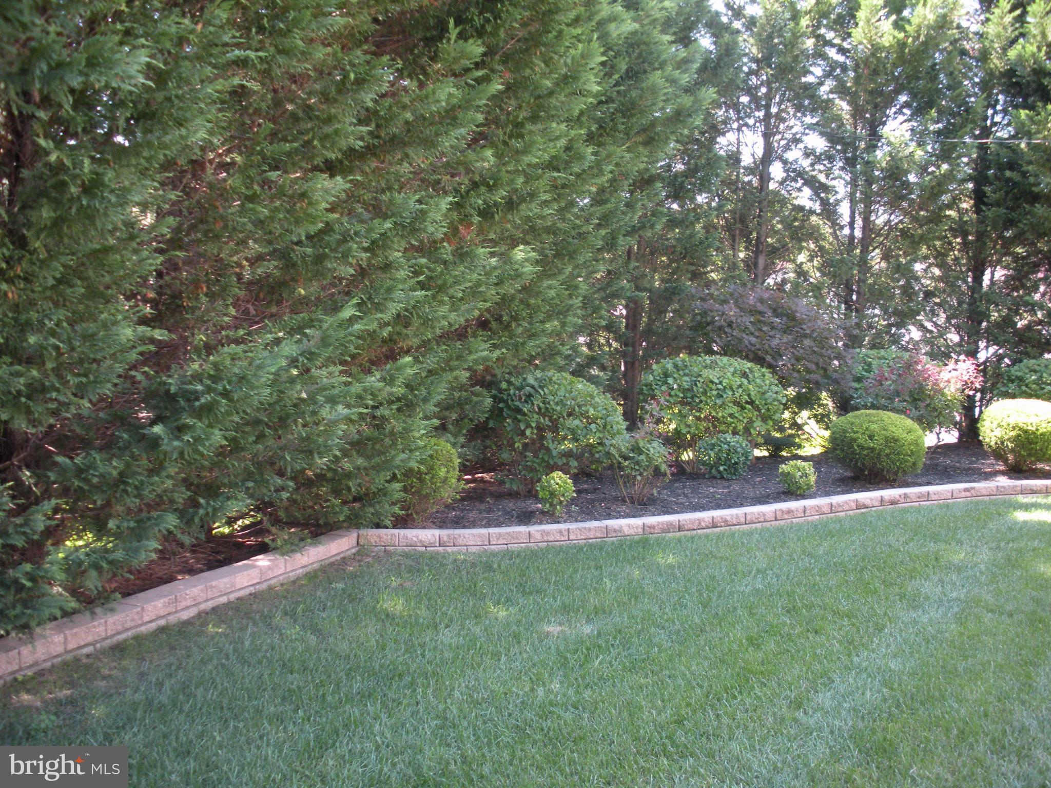 8803 Parlo Road Baltimore, MD 21236 - Photo 26 of 29 a view of outdoor space and yard