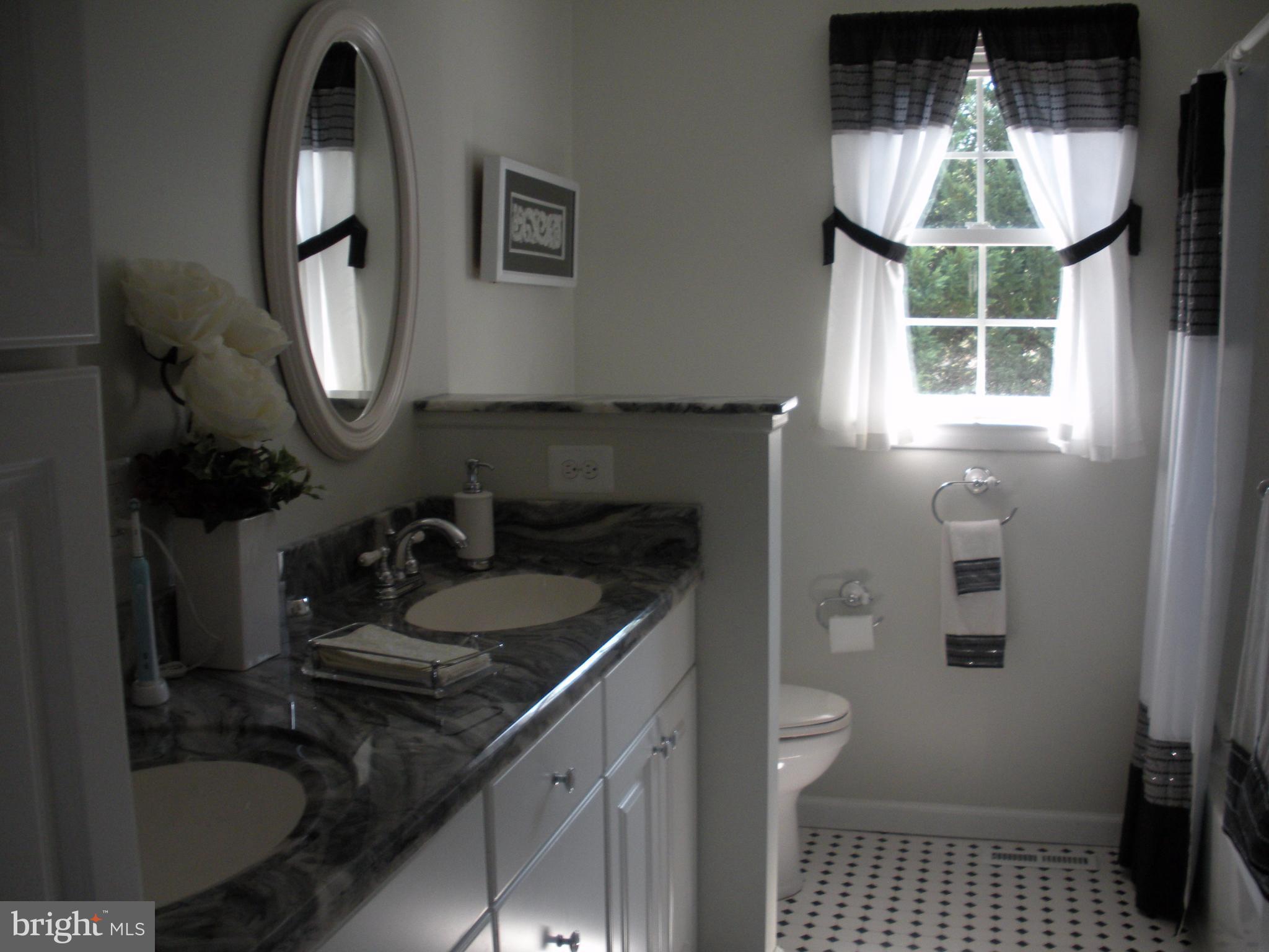 8803 Parlo Road Baltimore, MD 21236 - Photo 10 of 29 a bathroom with a sink a toilet and a mirror