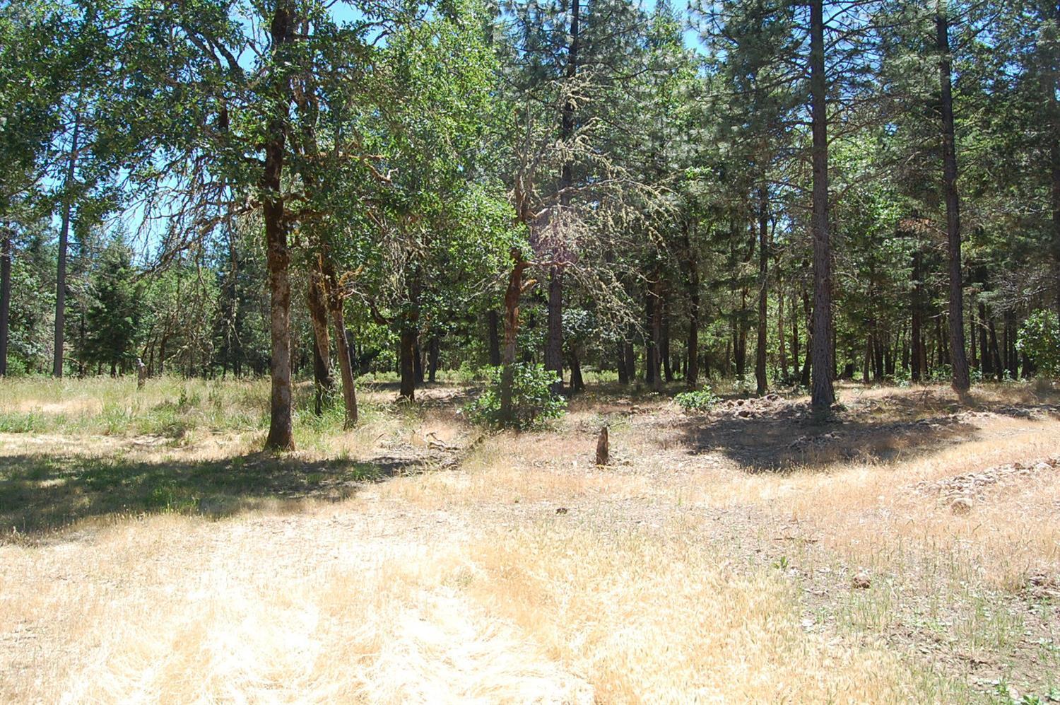 6006 Rockydale Road Cave Junction, OR 97523 - Photo 32 of 33 View of the back of the property