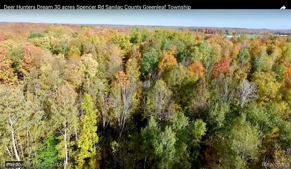 0 Spencer Road Cass City, MI 48726 - Photo 14 of 18 Gallery Image 14