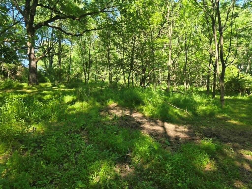 0 Hickory Road Petrolia, PA 16050 - Photo 11 of 15