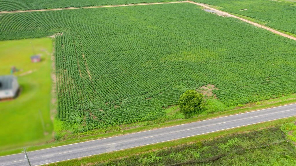 0 Lake Ashwood Road Sumter, SC 29153 - Photo 5 of 12 Gallery Image 5