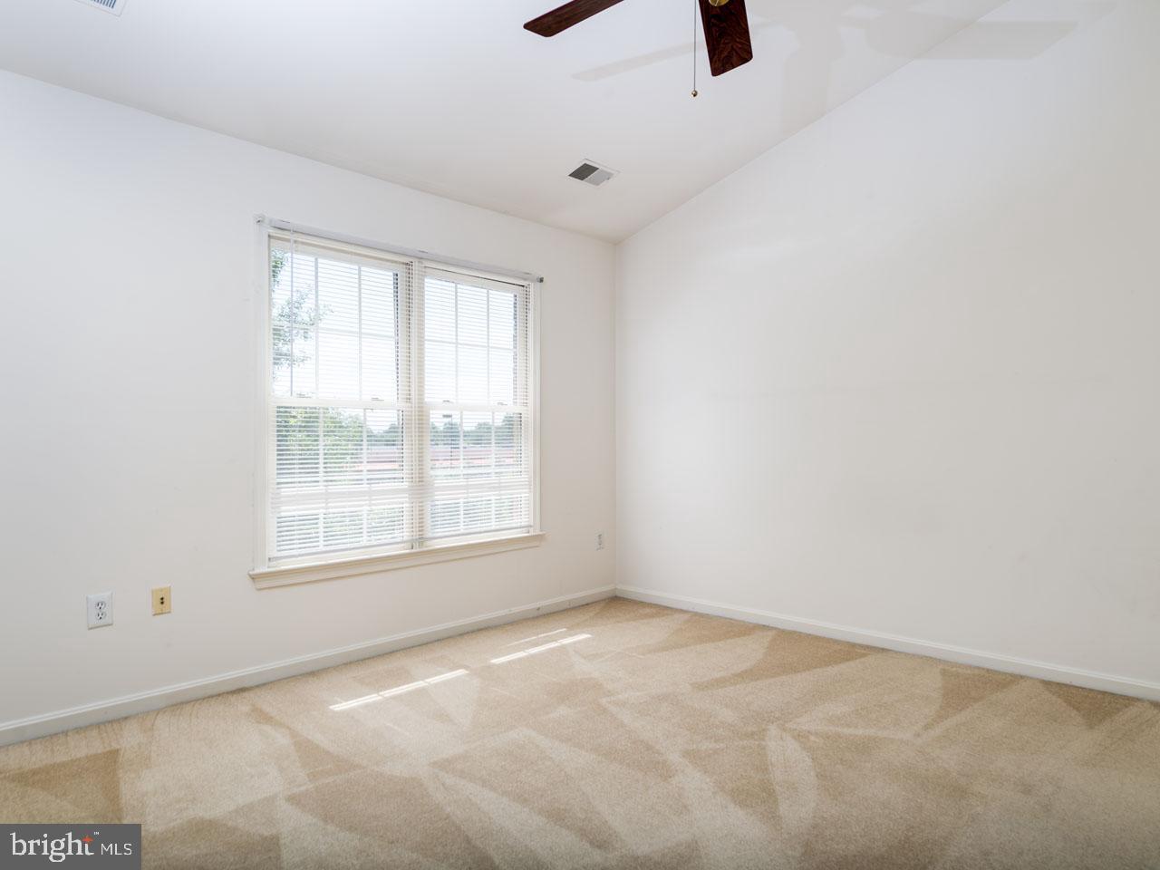 6513 Major Street Alexandria, VA 22312 - Photo 21 of 31 Master bedroom
