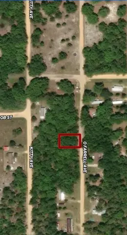 $6,700 | 32 Offarrel Drive, Interlachen, FL 32148