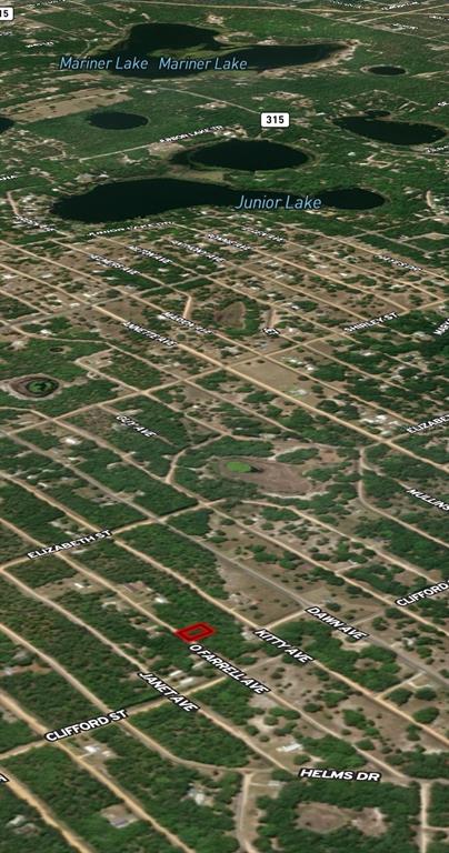 32 Offarrel Drive Interlachen, FL 32148 - Photo 4 of 4