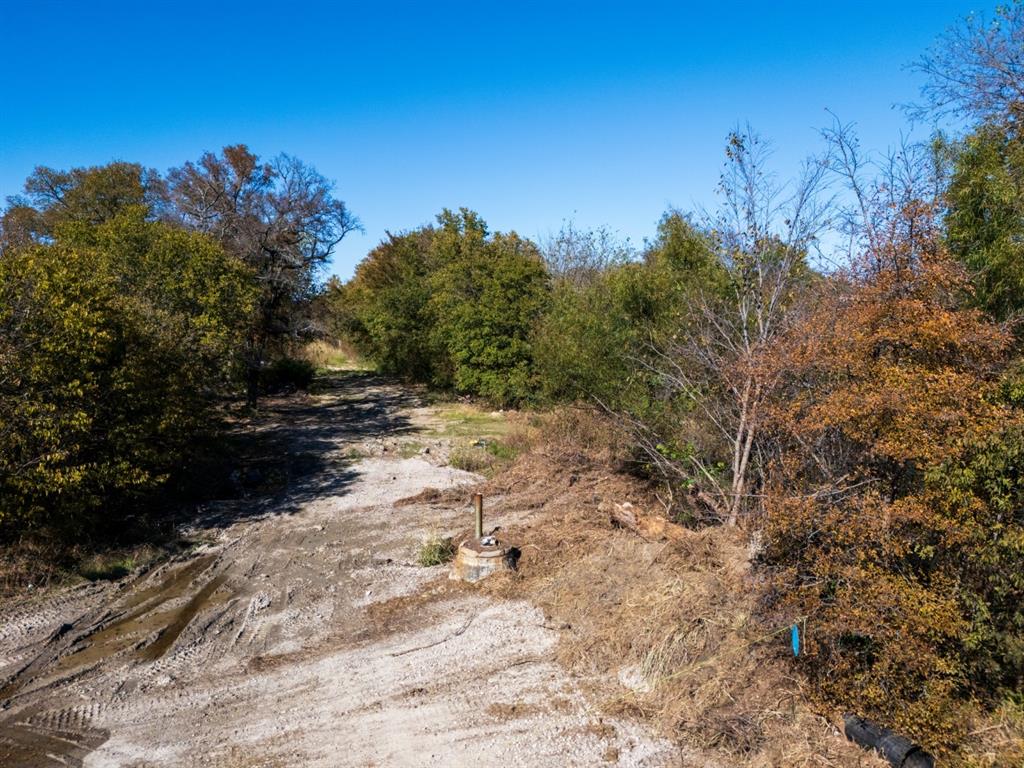 7909 Liberty Grove Road Rowlett, TX 75089 - Photo 6 of 20 a view of a yard with a tree