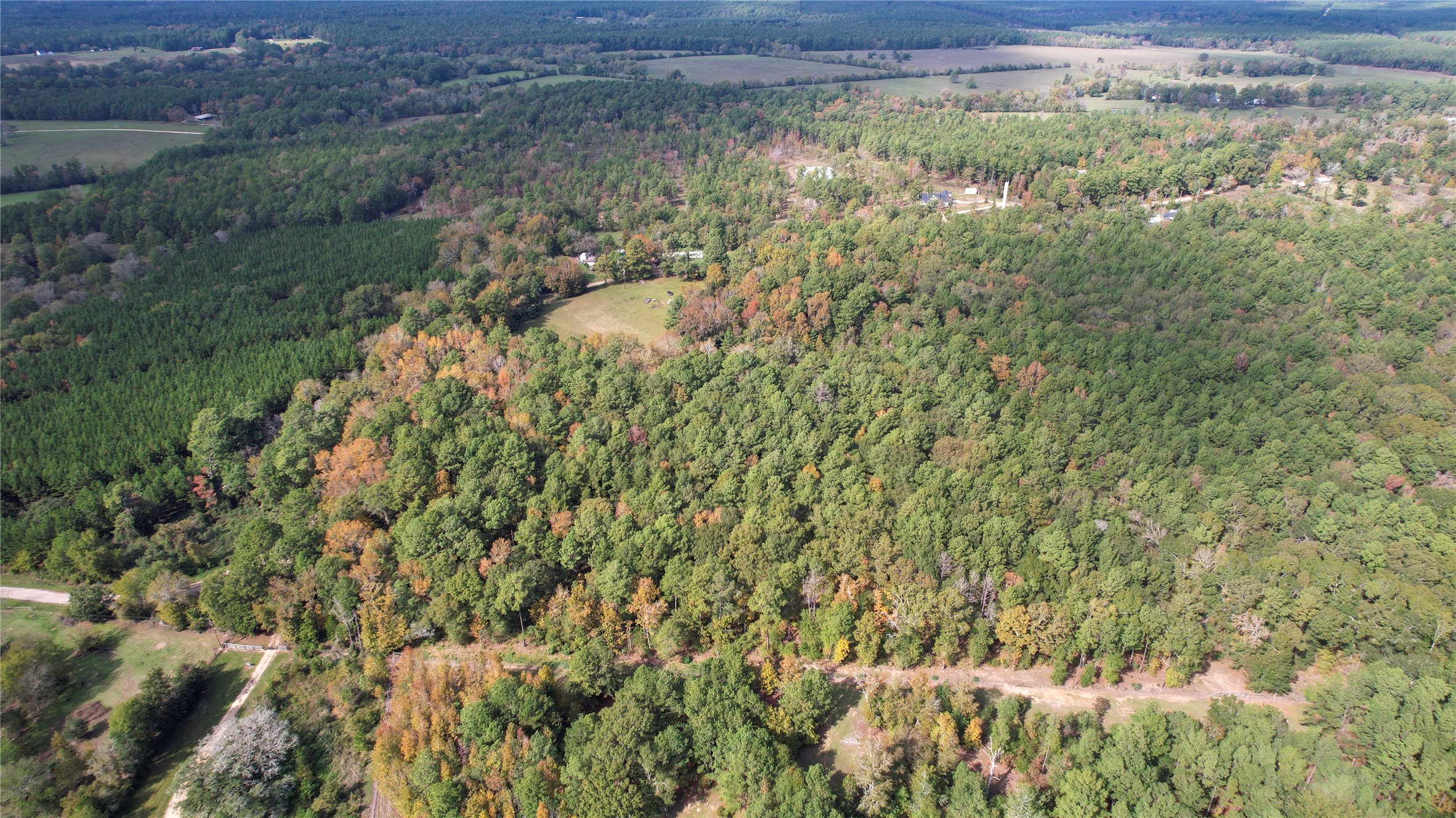 0 Raven Hill Road Oakhurst, TX 77359 - Photo 3 of 6 a view of a lake with a lush green forest
