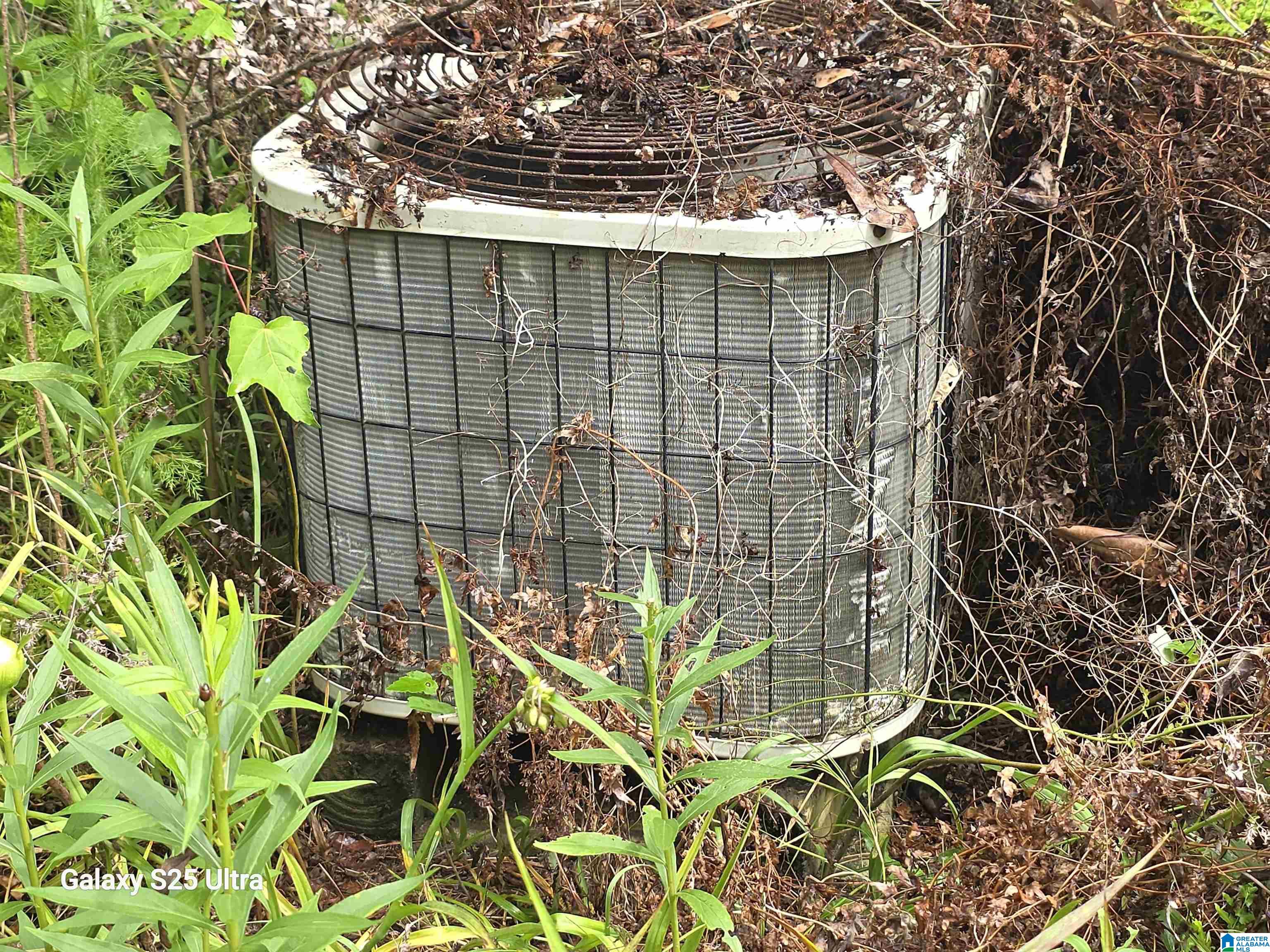 1724 Spurgeon Road Leroy, AL 36548 - Photo 14 of 28