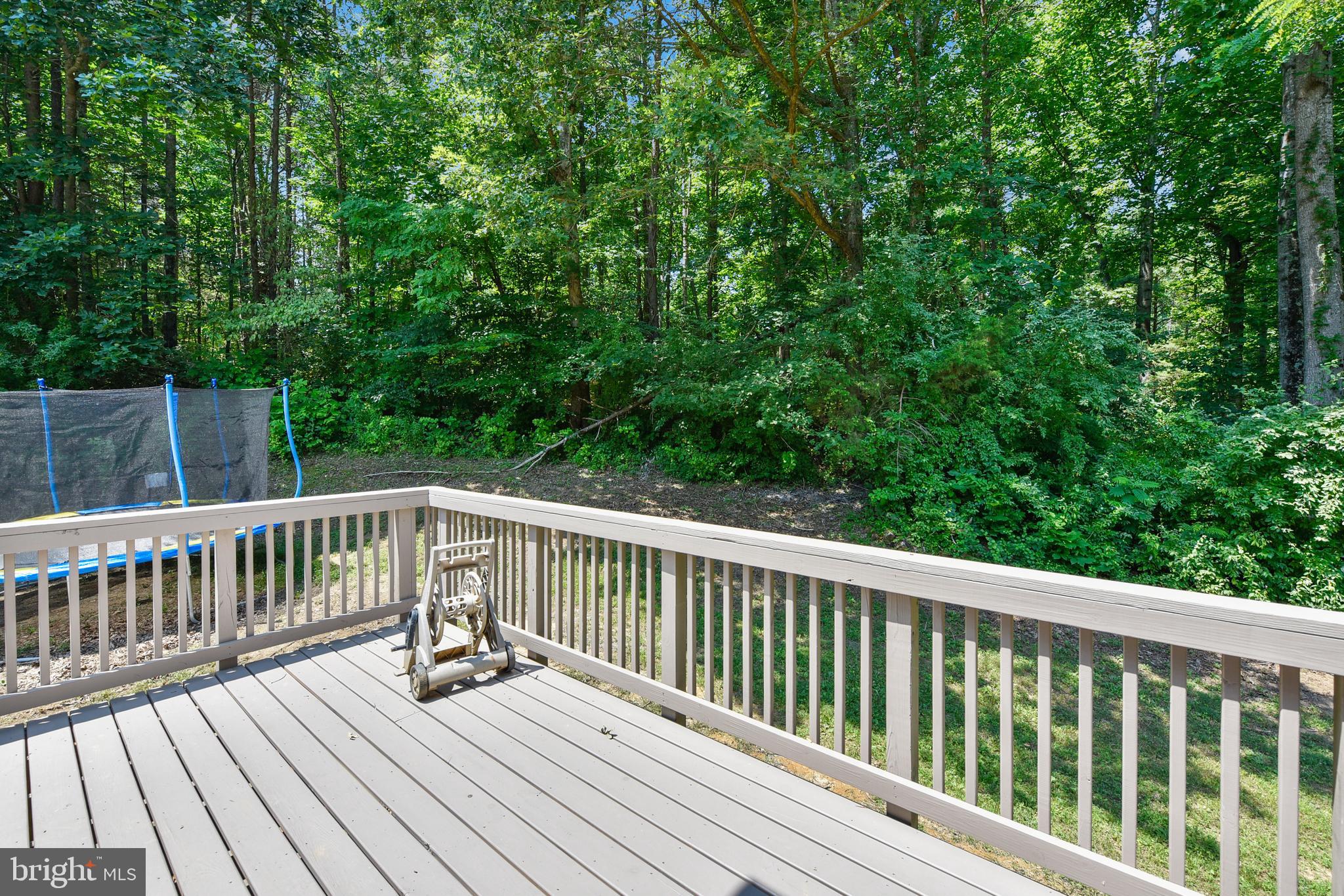 14518 Thickett Ridge Lane Rixeyville, VA 22737 - Photo 4 of 20 Rear Deck