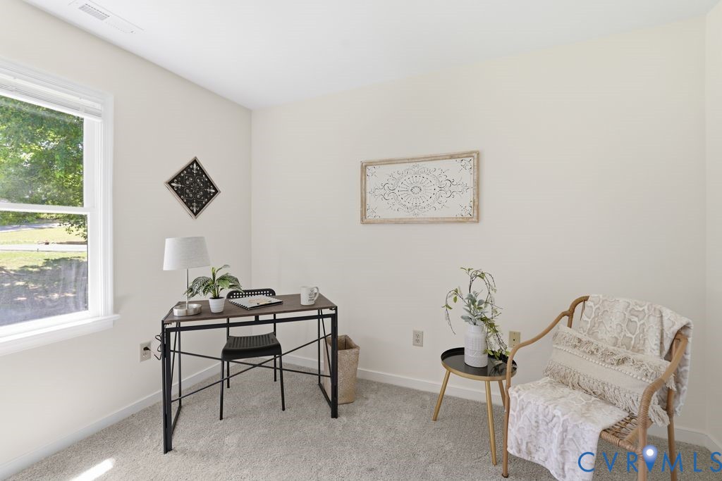 4301 Boones Bluff Way Chesterfield, VA 23832 - Photo 24 of 31 3rd bedroom