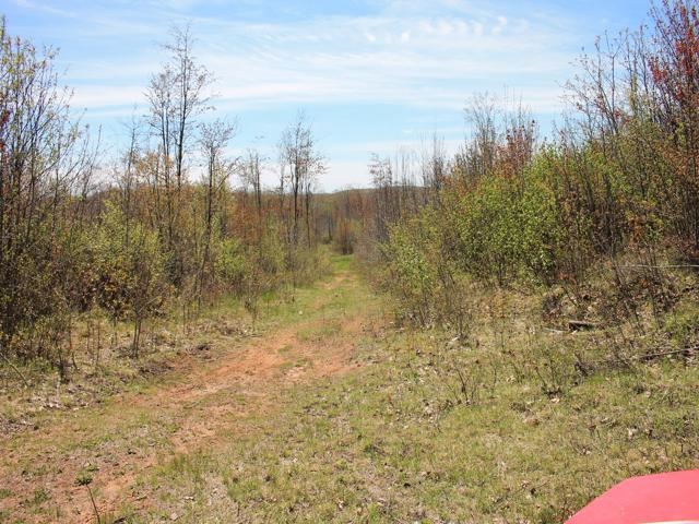 19081 Erickson Drive Dunbar, WI 54119 - Photo 27 of 87