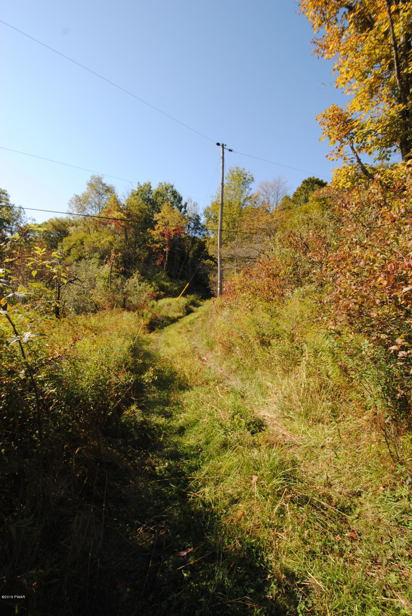 Niles Pond Road Honesdale, PA 18431 - Photo 9 of 10