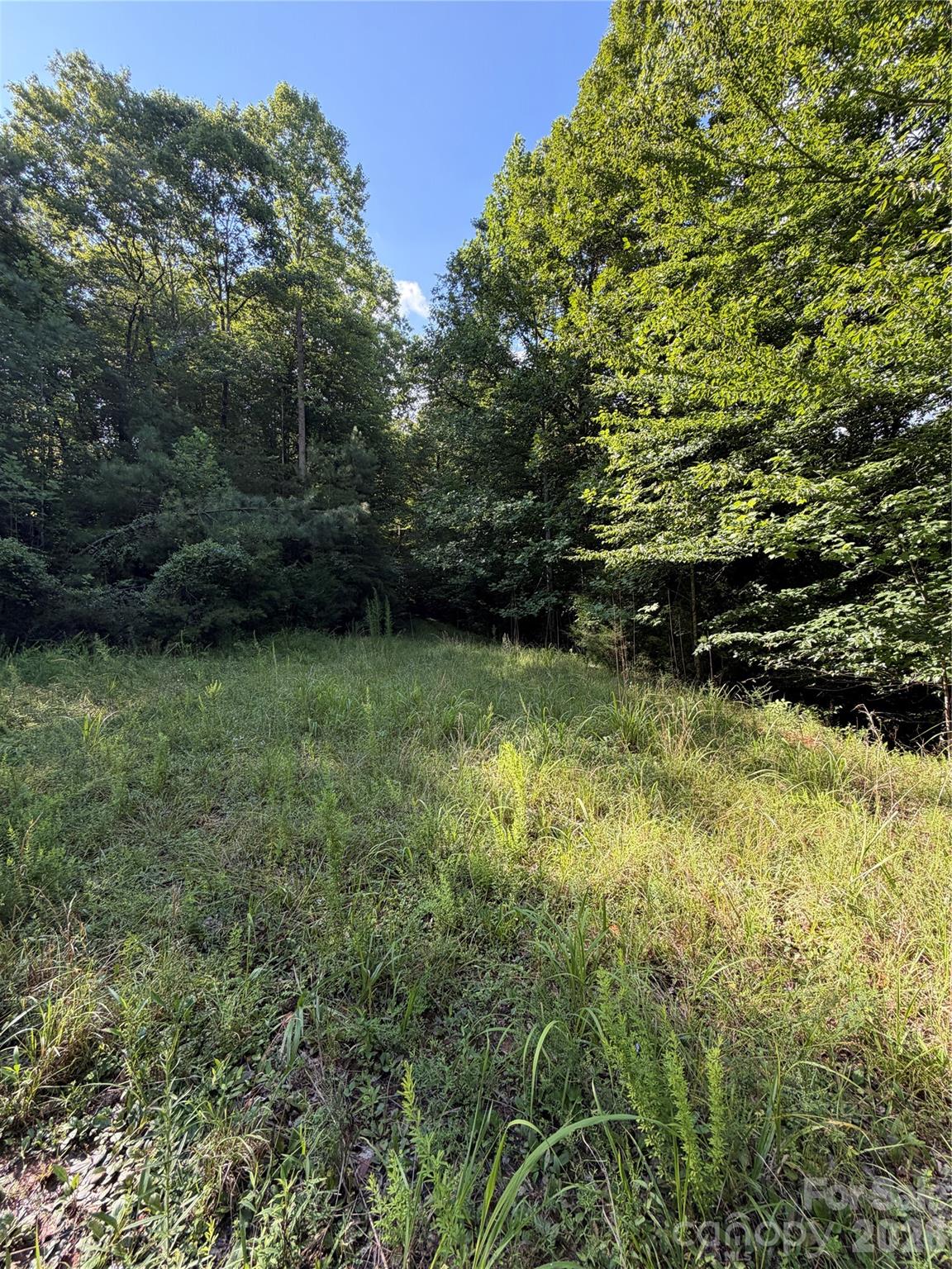 0 Greenhill Farms Drive, Unit 15 Rutherfordton, NC 28139 - Photo 8 of 10