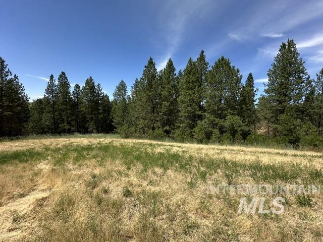 0 Parkins Road Troy, ID 83871 - Photo 22 of 33