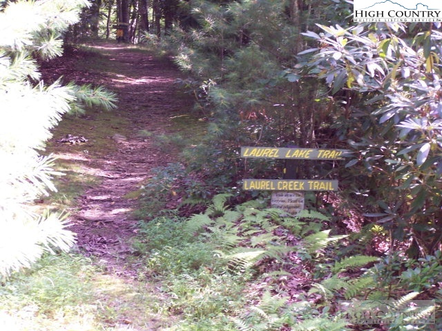 Elk Ridge Road Deep Gap, NC 28618 - Photo 18 of 47 a view of a yard