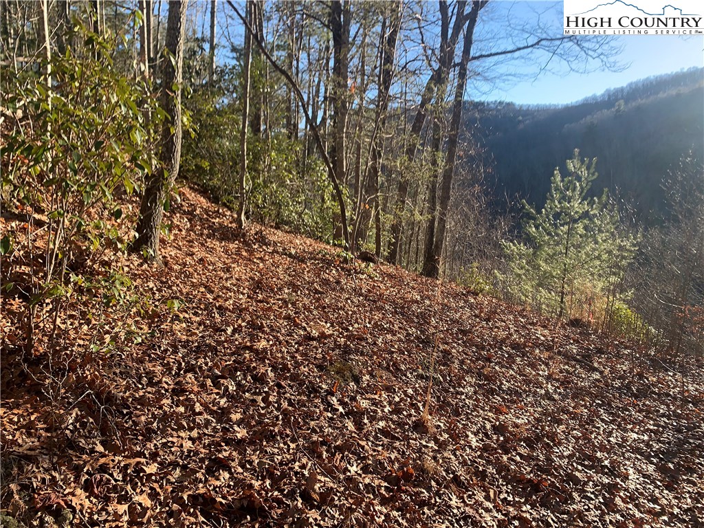 Elk Ridge Road Deep Gap, NC 28618 - Photo 2 of 47 a view of a forest