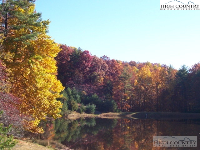 Elk Ridge Road Deep Gap, NC 28618 - Photo 30 of 47 a view of a tree
