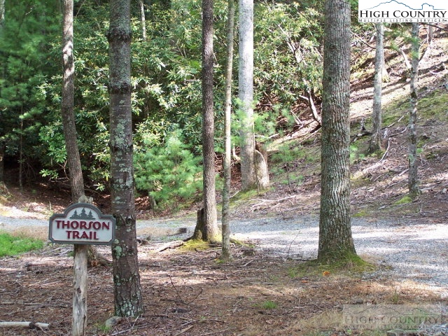 Elk Ridge Road Deep Gap, NC 28618 - Photo 33 of 47 a sign that is sitting in the middle of a forest