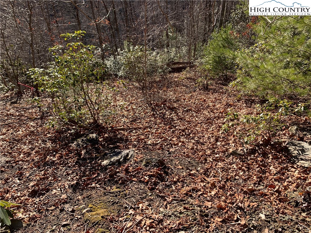 Elk Ridge Road Deep Gap, NC 28618 - Photo 5 of 47 a view of a plants and yard