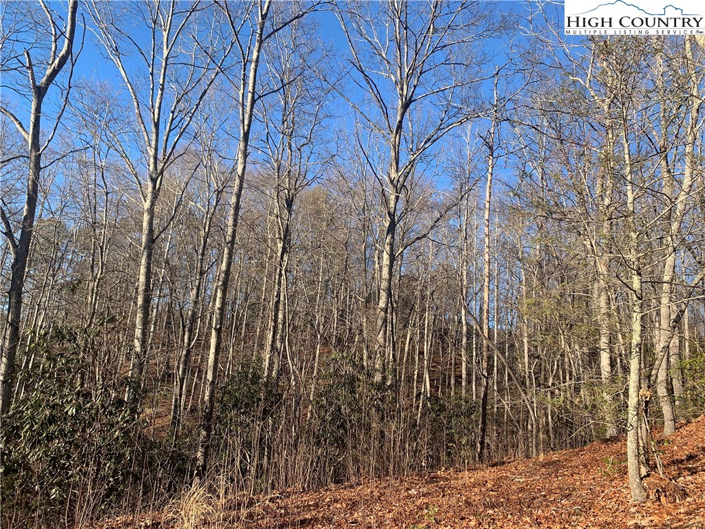 Elk Ridge Road Deep Gap, NC 28618 - Photo 6 of 47