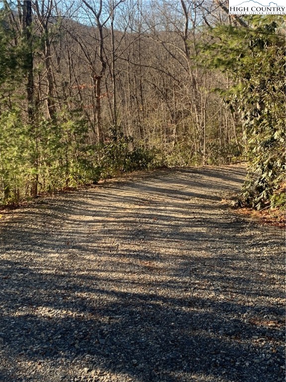 Elk Ridge Road Deep Gap, NC 28618 - Photo 9 of 47