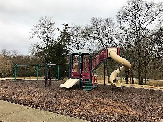 123 Long Rifle Road Smyrna, TN 37167 - Photo 29 of 31 A Curly Slide at Pioneer Park!