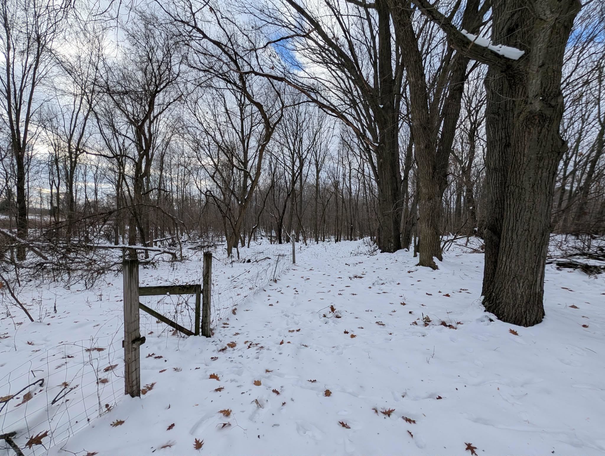 7105 North Osborn Road Elwell, MI 48832 - Photo 40 of 42