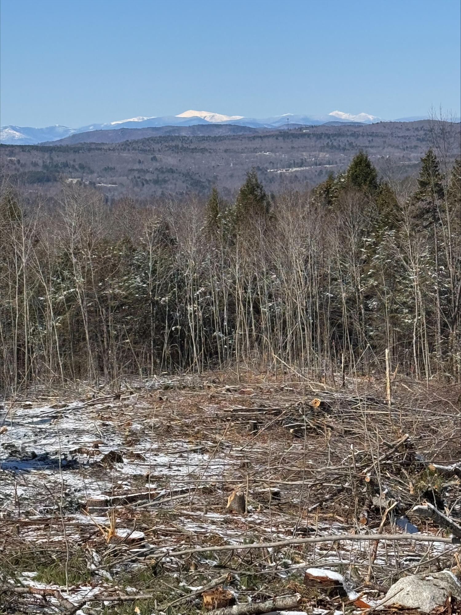 0 Ryerson Hill Road South Paris, ME 04281 - Photo 4 of 5 processed-1536B2F3-6904-49EB-B6A8-AB75F5
