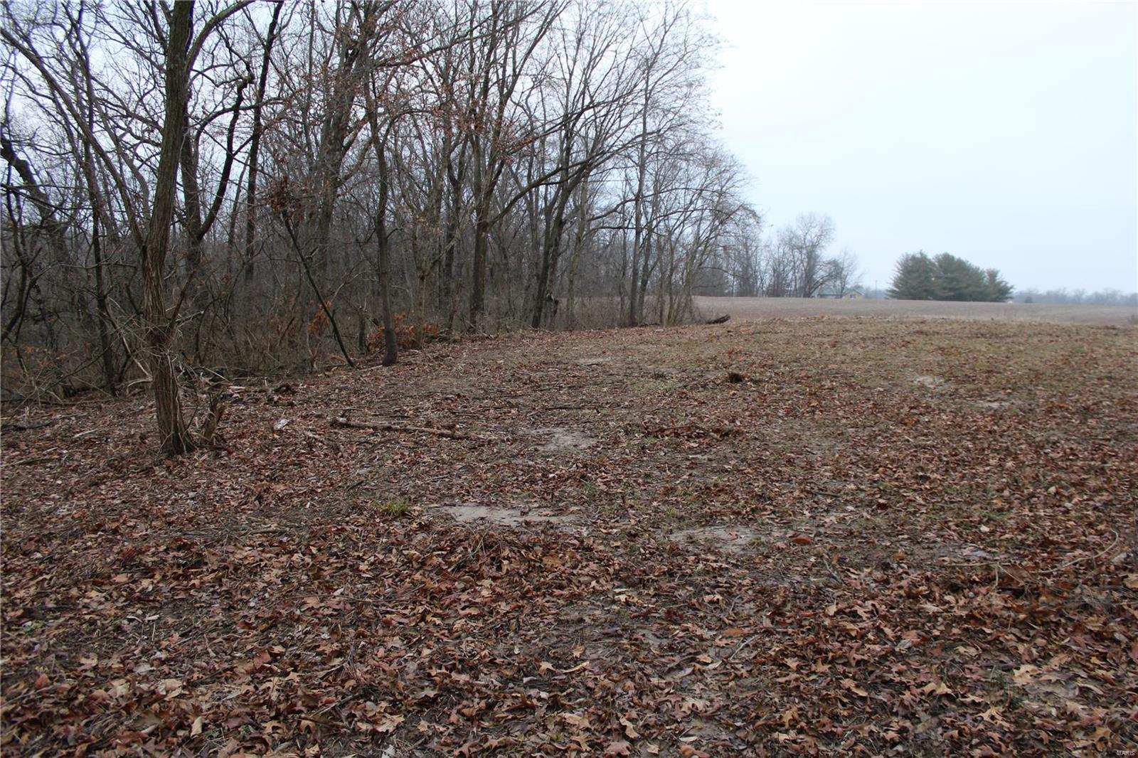 8150 Jacks Run Road Freeburg, IL 62243 - Photo 5 of 30