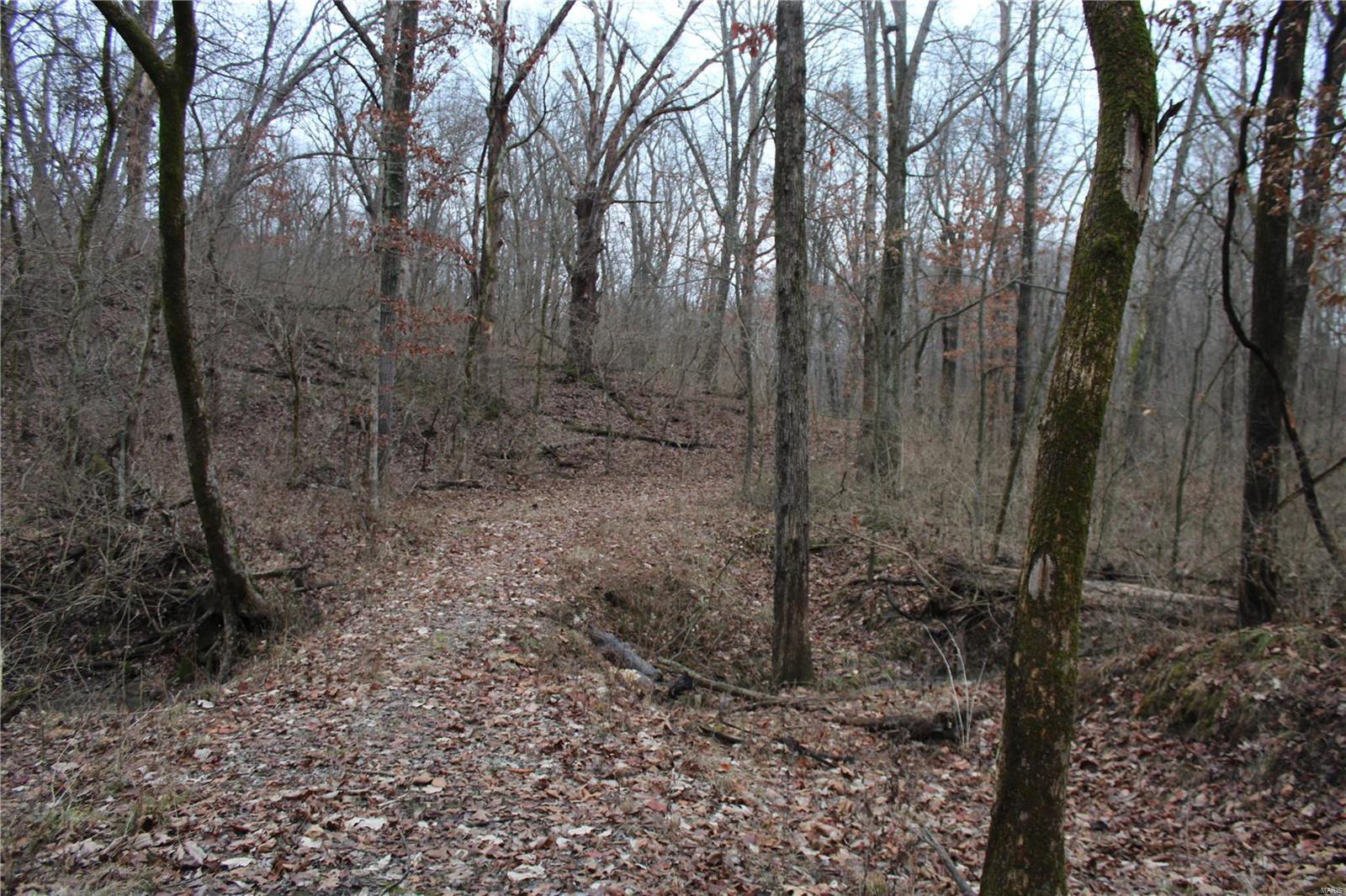 8150 Jacks Run Road Freeburg, IL 62243 - Photo 8 of 30