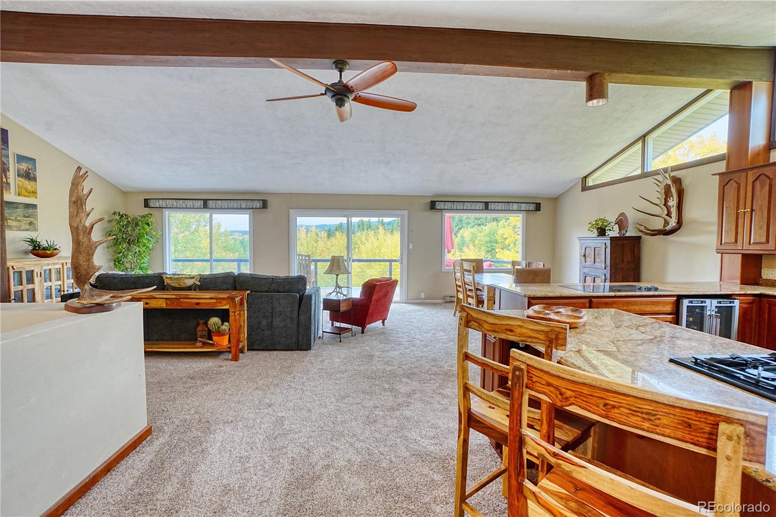 2802 Upper Apex Road Idaho Springs, CO 80452 - Photo 14 of 50 Gallery Image 14