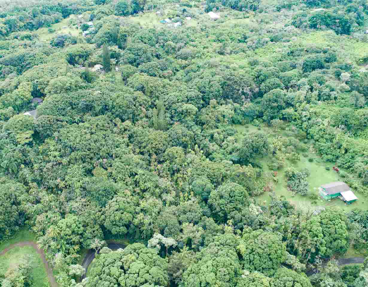 772 Lower Nahiku Road Hana, HI 96713 - Photo 13 of 20 an aerial view of residential house with outdoor space and trees all around